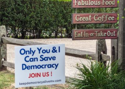 Saving Democracy